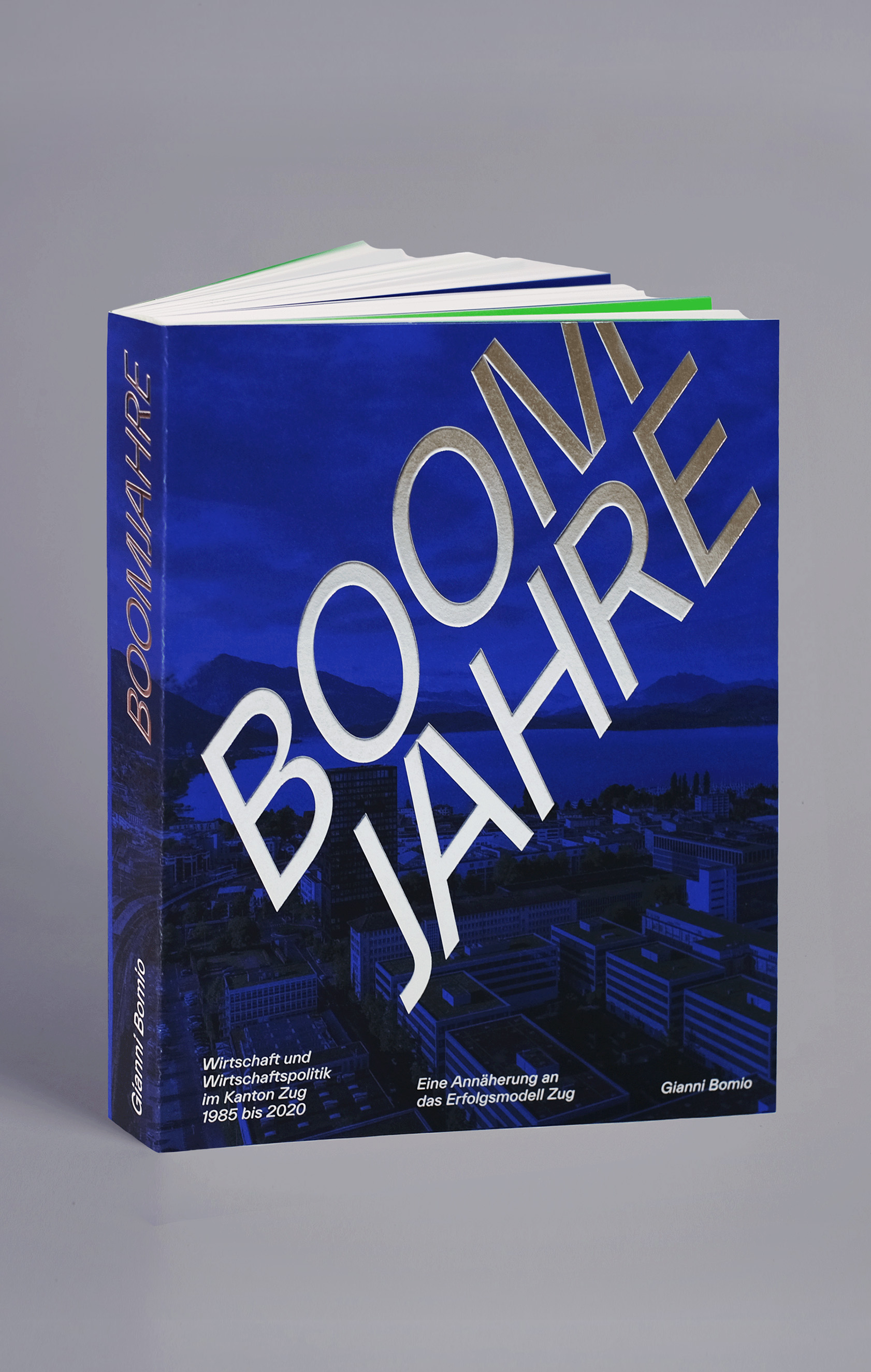 Das Buch Boomjahre